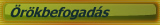 �r�kbefogad�s